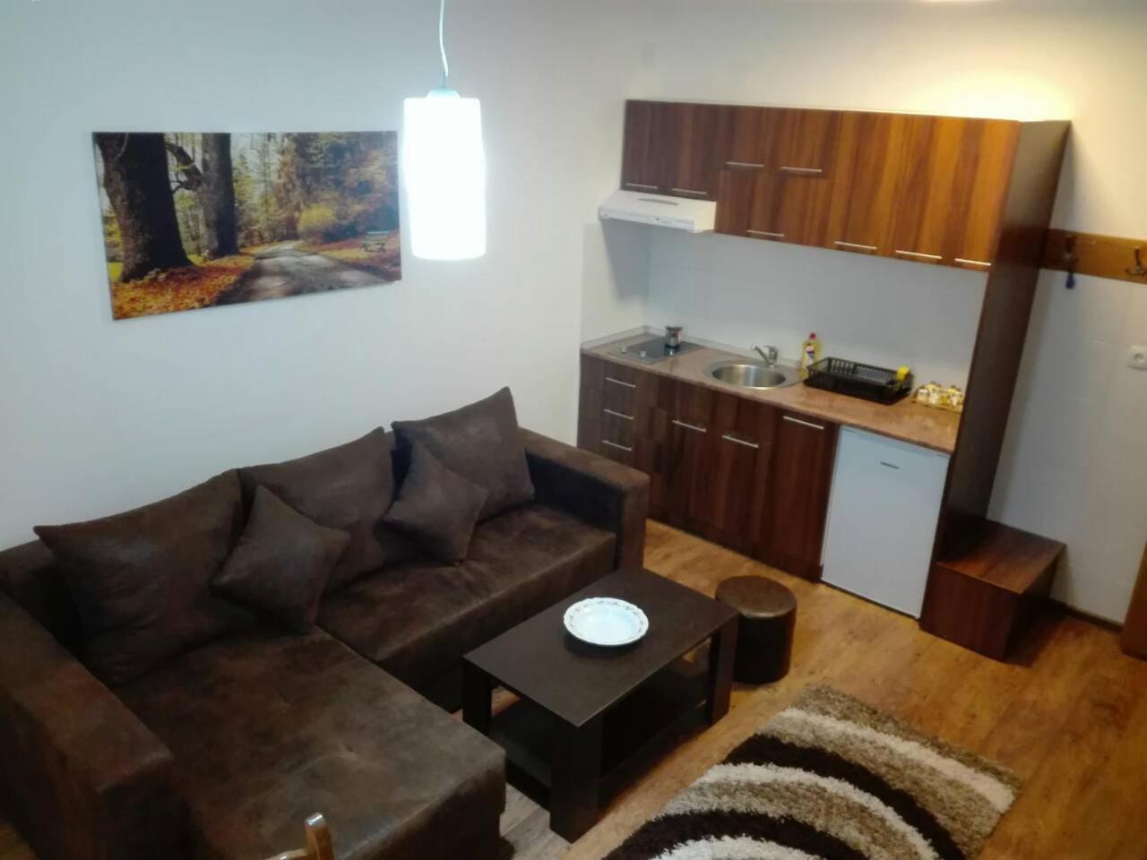 Vila Natasa Κοπαόνικ Εξωτερικό φωτογραφία