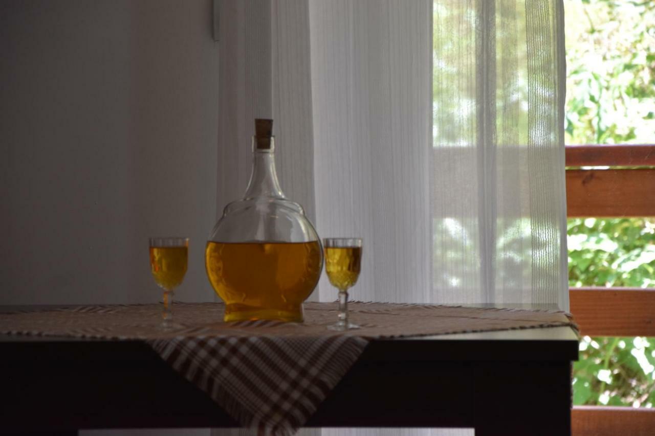 Vila Natasa Κοπαόνικ Εξωτερικό φωτογραφία